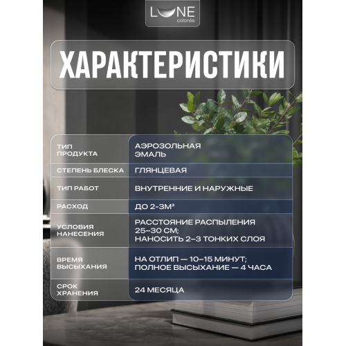 Аэрозольная краска LUNE COLOREE Эмаль универсальная быстросохнущая черный глянцевый RAL 9005, 520мл
