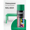 Краска аэрозольная акриловая KUDO цвет светло-зеленый глянцевый RAL 6024 520 мл