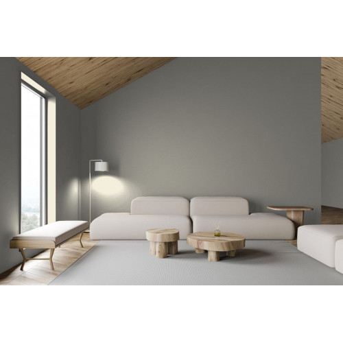 Пробник в/э краски Little Greene, Absolute Matt Emulsion, цвет - №330, SILENT WHITE MID 60 мл