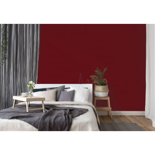 Пробник краски в/э акриловой Little Greene, цвет № 14, BAKED CHERRY, 60 мл