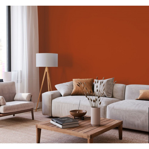 Пробник краски в/э акриловой Little Greene, цвет № 24, HEAT, 60 мл