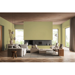 Пробник краски в/э акриловой Little Greene, цвет № 63, OAK APPLE, 60 мл