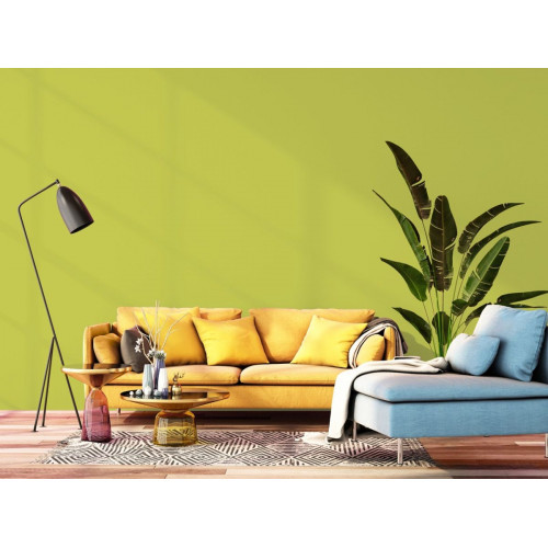 Пробник краски в/э акриловой Little Greene, цвет № 70, PALE LIME, 60 мл