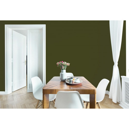 Пробник краски в/э акриловой Little Greene, цвет № 72, OLIVE COLOUR, 60 мл
