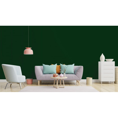 Пробник в/э краски Little Greene, Absolute Matt Emulsion, цвет палитры STONE - №88, Dark Brunswick Green, 60 мл