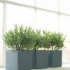 Пробник краски в/э акриловой Little Greene, цвет № 115, JUNIPER ASH, 60 мл