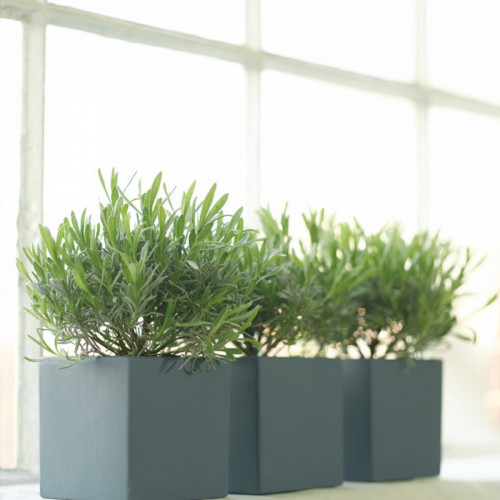 Пробник краски в/э акриловой Little Greene, цвет № 115, JUNIPER ASH, 60 мл