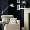 Пробник краски в/э акриловой Little Greene, цвет № 119, JACK BLACK, 60 мл