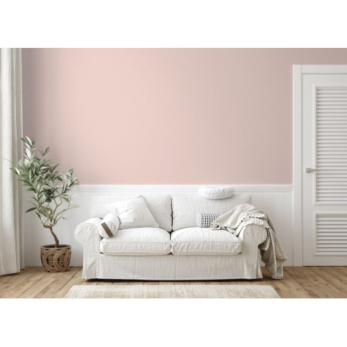 Пробник краски в/э акриловой Little Greene, цвет № 220, PINK SLIP, 60 мл