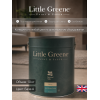 Грунтовка акриловая Wall Primer Sealer Little Greene база А 10 кг