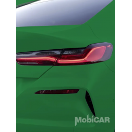 Аэрозольная эмаль универсальная Mobicar 0505-6029 MC RAL 6029 цвет зеленый глянцевый 520 мл