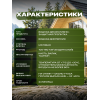 Эко-пропитка для дерева SUN COLOR цвет сосна 7 кг