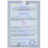 Грунт для защиты древесины Pinotex Base 2,7 л
