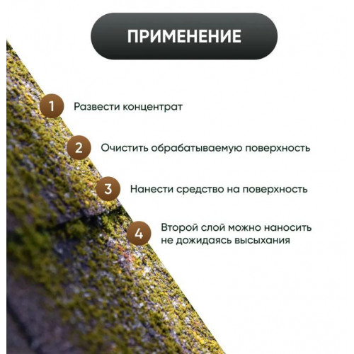 Защитная пропитка от мха Prosept концентрат 1:10 1 л