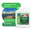 Антисептик усиленный невымываемый для тяжелых условий Prosept Ultra Max концентрат 1:10 5 кг
