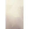 Декоративное покрытие с эффектом шелка Parade Deco Mulberry цвет S83 4 кг